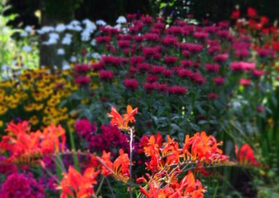 Large Country Garden