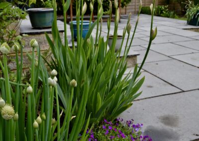 London Terrace